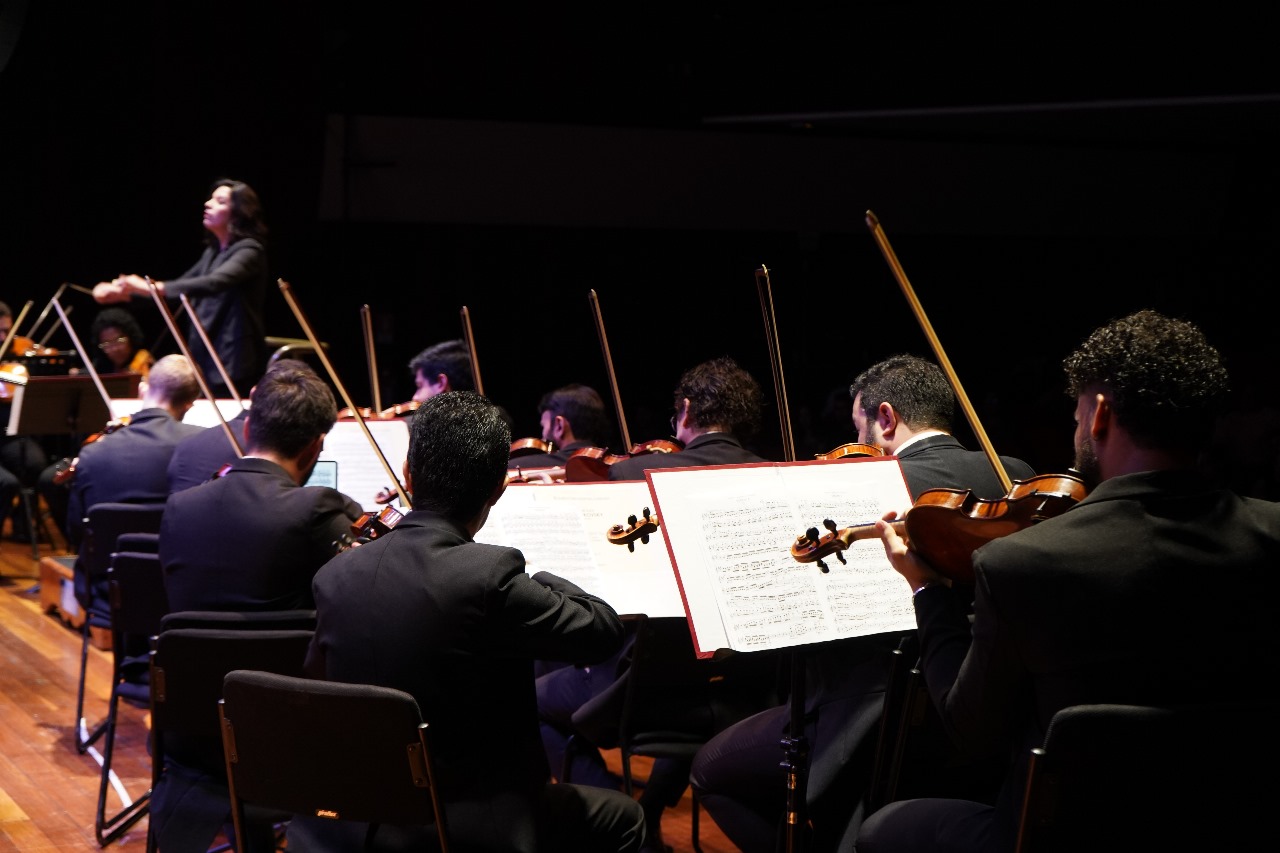 violinistas